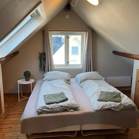 Large&cozy Leilighet