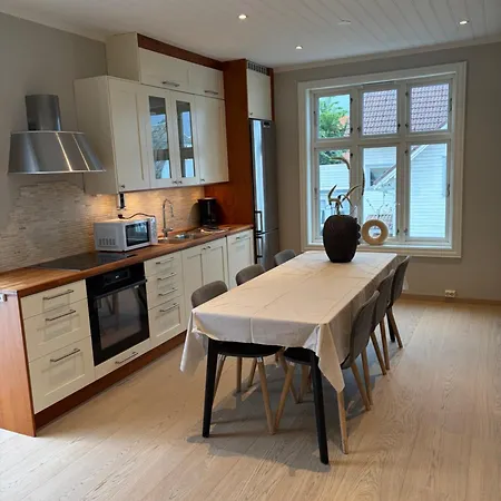 Large&Cozy Stavanger Apt Apartment