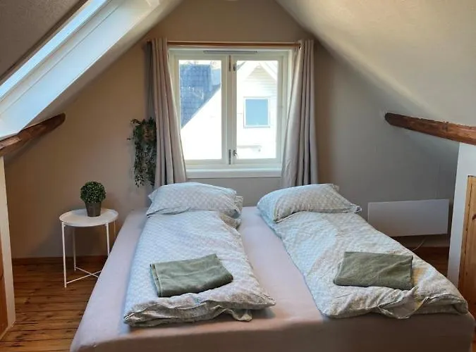 Large & Cozy Apartment