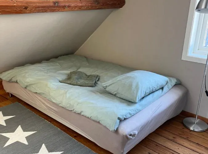 Large & Cozy Appartement